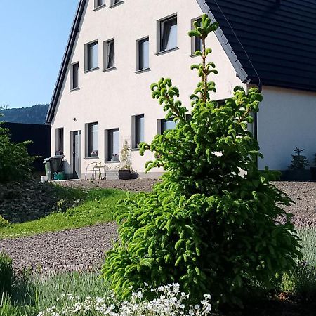 Otulina Dom W Gorach Stolowych Pod Szczelincem Pogranicze Pl-Cz Radkow Exteriér fotografie