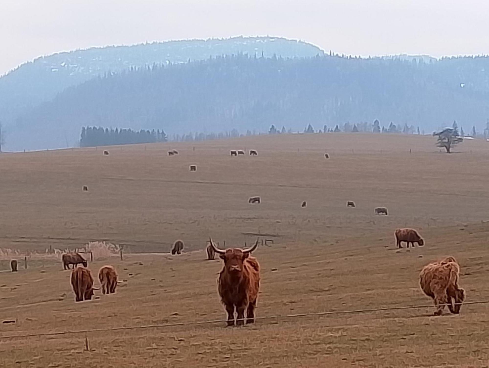 Otulina Dom W Gorach Stolowych Pod Szczelincem Pogranicze Pl-Cz Radkow Exteriér fotografie